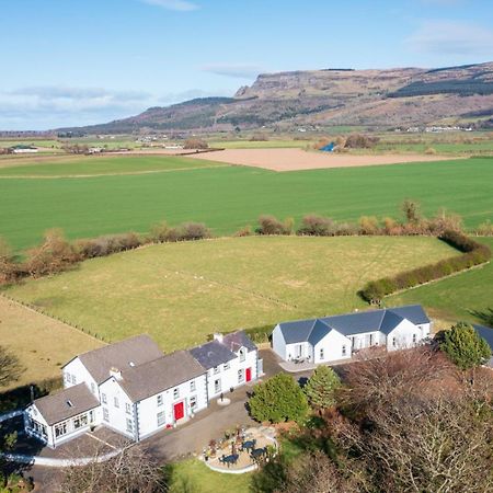 Willow House Bed & Breakfast And Orchard Studios Self Catering 利马瓦迪 外观 照片