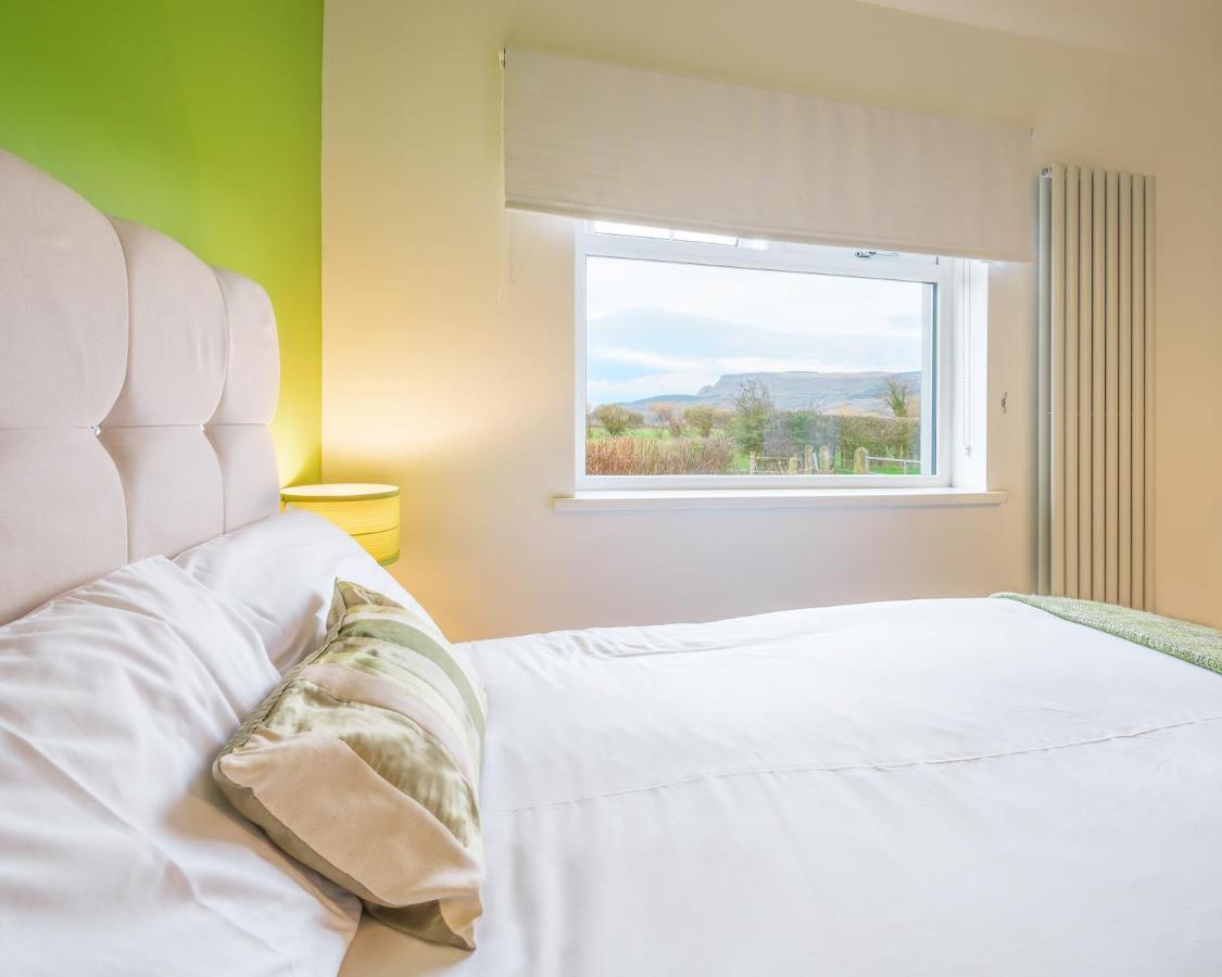 Willow House Bed & Breakfast And Orchard Studios Self Catering 利马瓦迪 外观 照片