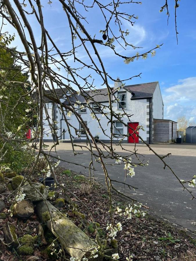 Willow House Bed & Breakfast And Orchard Studios Self Catering 利马瓦迪 外观 照片